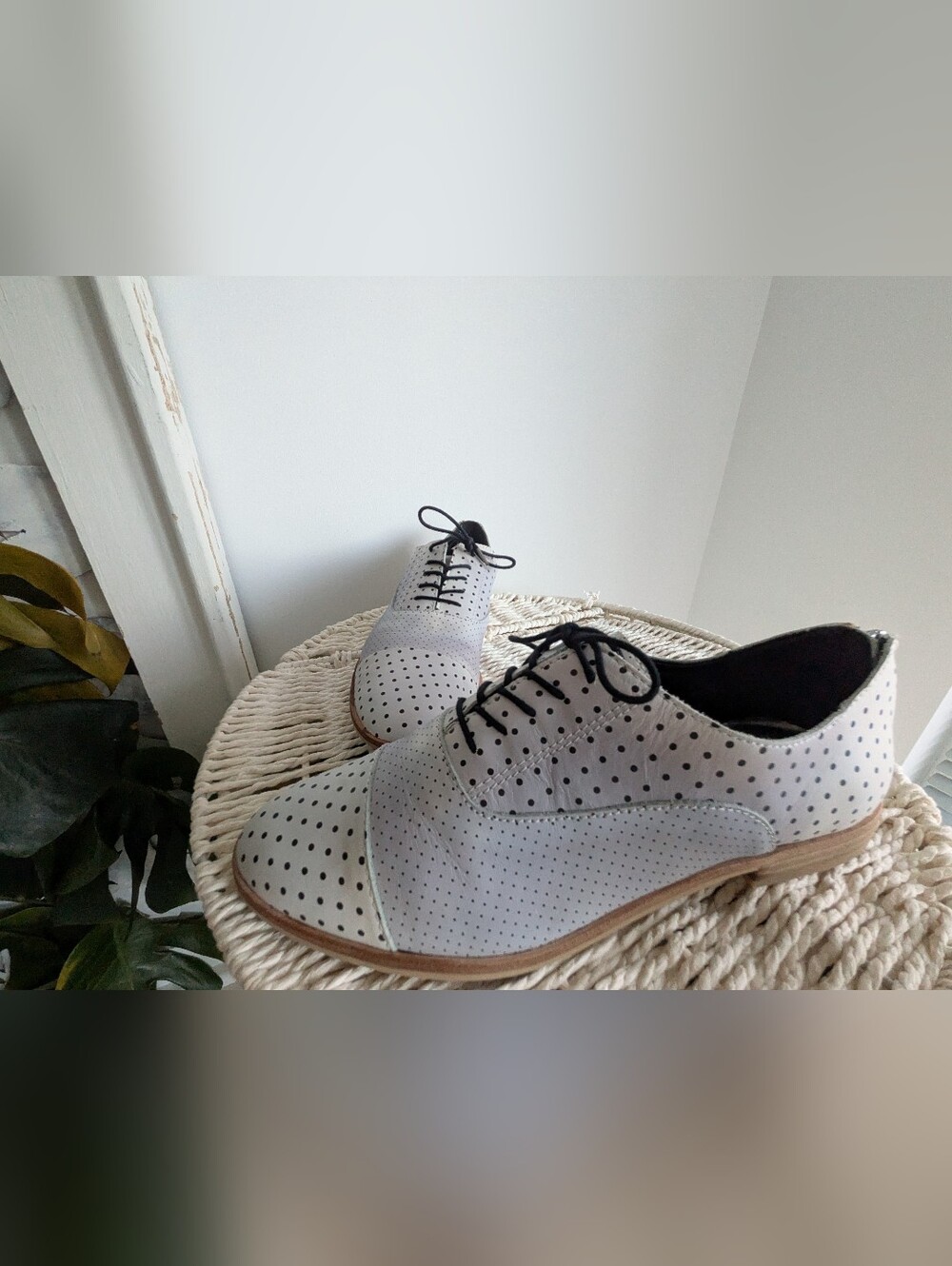 EUC Dolce Vita Polo Leather Oxford- Lace-Up Oxford Shoes- Sz 9.5